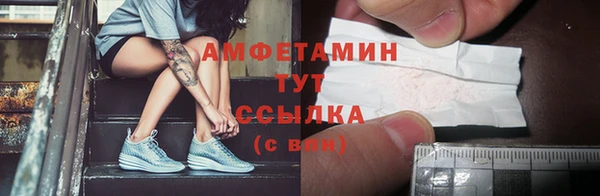 стаф Богданович