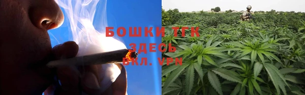 стаф Богданович