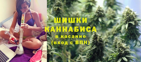 ГАЛЛЮЦИНОГЕННЫЕ ГРИБЫ Белоозёрский