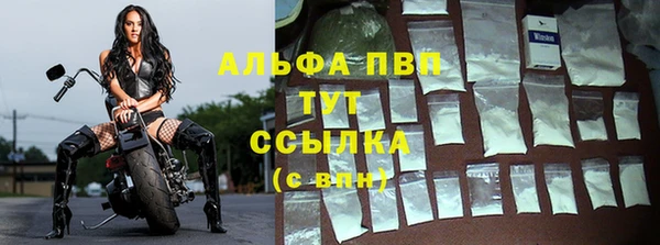 ГАЛЛЮЦИНОГЕННЫЕ ГРИБЫ Белоозёрский