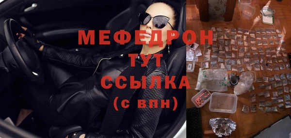стаф Богданович