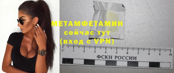 стаф Богданович