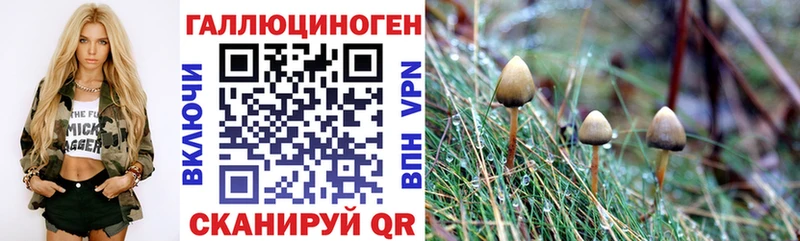 hydra ссылки  Великие Луки  Псилоцибиновые грибы MAGIC MUSHROOMS 